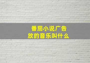 番茄小说广告放的音乐叫什么