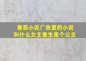 番茄小说广告里的小说叫什么女主重生是个公主