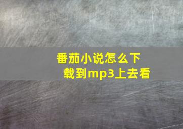 番茄小说怎么下载到mp3上去看