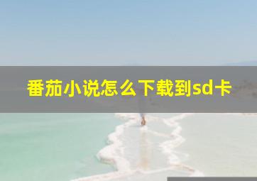 番茄小说怎么下载到sd卡