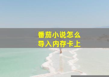 番茄小说怎么导入内存卡上