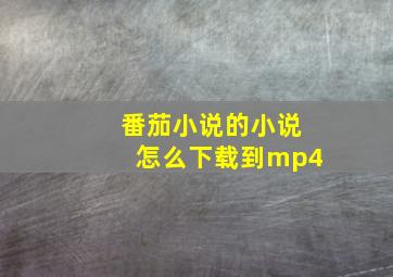 番茄小说的小说怎么下载到mp4