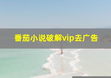 番茄小说破解vip去广告