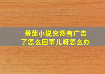 番茄小说突然有广告了怎么回事儿呀怎么办