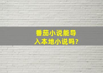 番茄小说能导入本地小说吗?