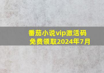 番茄小说vip激活码免费领取2024年7月