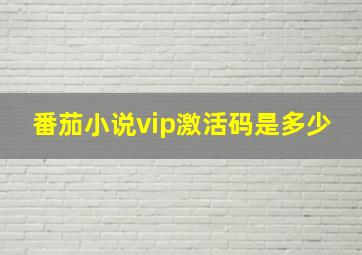 番茄小说vip激活码是多少