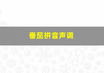 番茄拼音声调