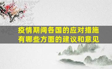 疫情期间各国的应对措施有哪些方面的建议和意见