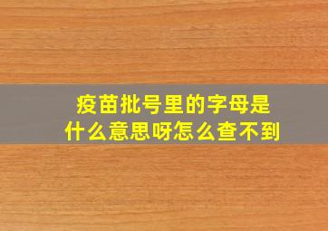 疫苗批号里的字母是什么意思呀怎么查不到