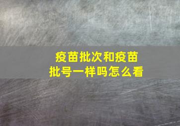 疫苗批次和疫苗批号一样吗怎么看