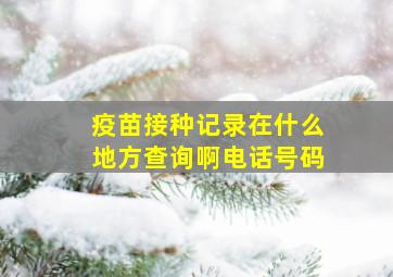 疫苗接种记录在什么地方查询啊电话号码