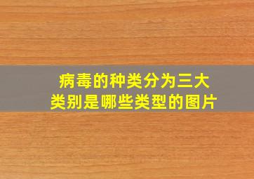 病毒的种类分为三大类别是哪些类型的图片