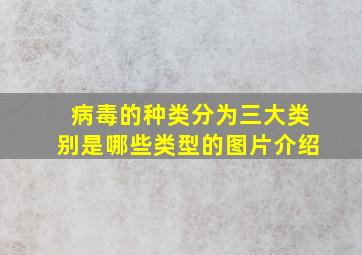 病毒的种类分为三大类别是哪些类型的图片介绍