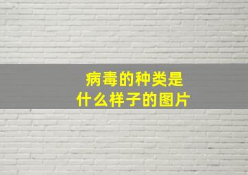 病毒的种类是什么样子的图片