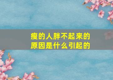 瘦的人胖不起来的原因是什么引起的