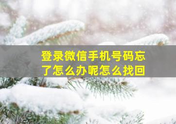 登录微信手机号码忘了怎么办呢怎么找回