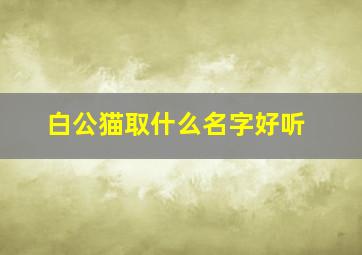 白公猫取什么名字好听