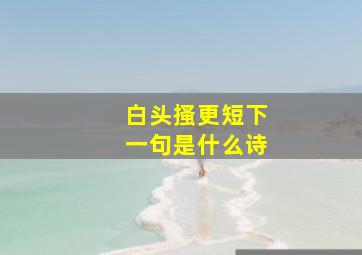 白头搔更短下一句是什么诗