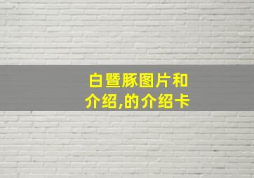 白暨豚图片和介绍,的介绍卡