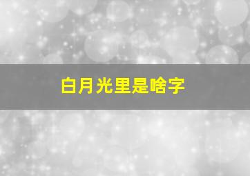 白月光里是啥字