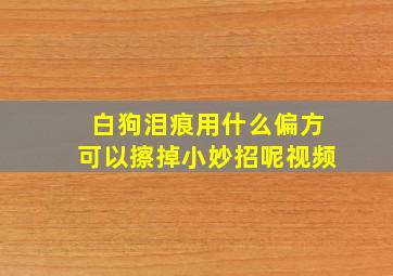 白狗泪痕用什么偏方可以擦掉小妙招呢视频