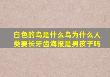 白色的鸟是什么鸟为什么人类要长牙齿海报是男孩子吗