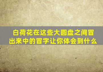 白荷花在这些大圆盘之间冒出来中的冒字让你体会到什么