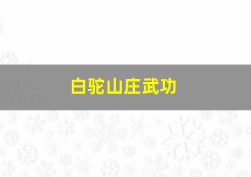 白驼山庄武功