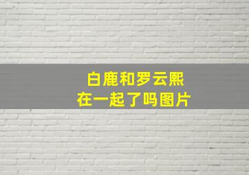 白鹿和罗云熙在一起了吗图片