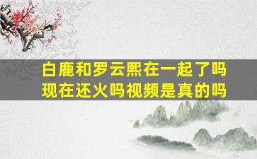 白鹿和罗云熙在一起了吗现在还火吗视频是真的吗