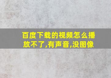 百度下载的视频怎么播放不了,有声音,没图像