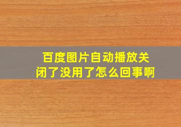 百度图片自动播放关闭了没用了怎么回事啊