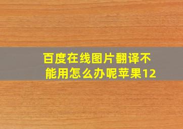 百度在线图片翻译不能用怎么办呢苹果12