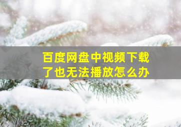 百度网盘中视频下载了也无法播放怎么办