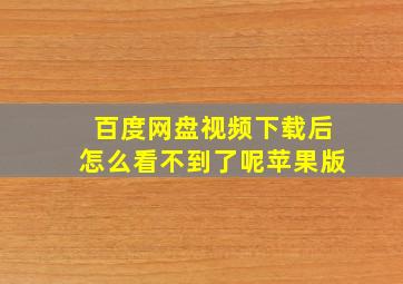 百度网盘视频下载后怎么看不到了呢苹果版