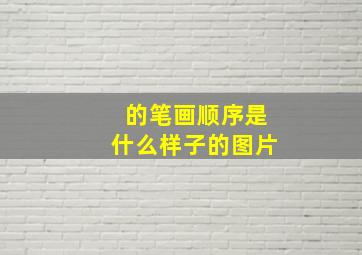 的笔画顺序是什么样子的图片