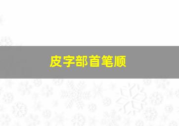 皮字部首笔顺