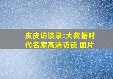 皮皮访谈录:大数据时代名家高端访谈 图片