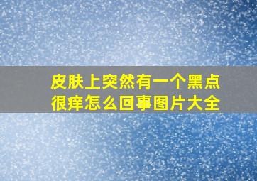 皮肤上突然有一个黑点很痒怎么回事图片大全