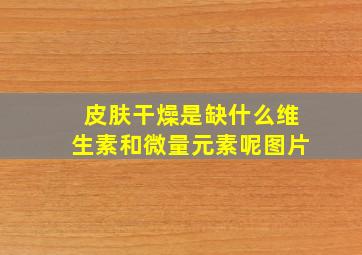 皮肤干燥是缺什么维生素和微量元素呢图片