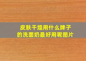 皮肤干燥用什么牌子的洗面奶最好用呢图片