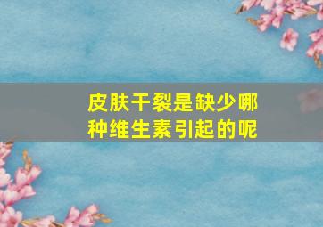 皮肤干裂是缺少哪种维生素引起的呢