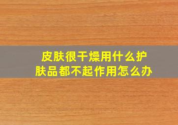 皮肤很干燥用什么护肤品都不起作用怎么办