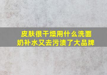 皮肤很干燥用什么洗面奶补水又去污渍了大品牌