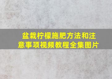 盆栽柠檬施肥方法和注意事项视频教程全集图片