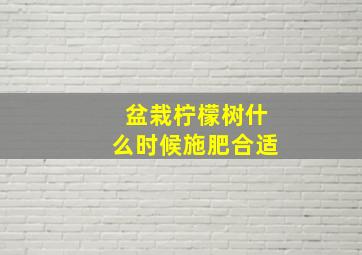 盆栽柠檬树什么时候施肥合适