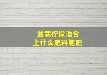 盆栽柠檬适合上什么肥料施肥