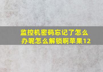 监控机密码忘记了怎么办呢怎么解锁啊苹果12