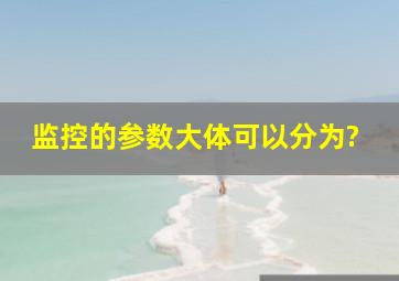 监控的参数大体可以分为?